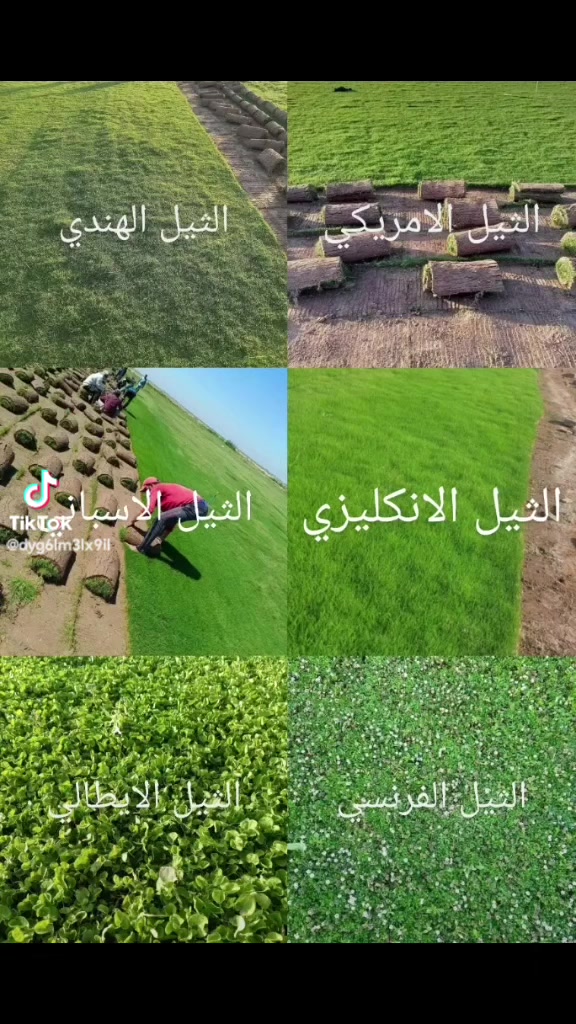ديكور • حديقة • للبيع
