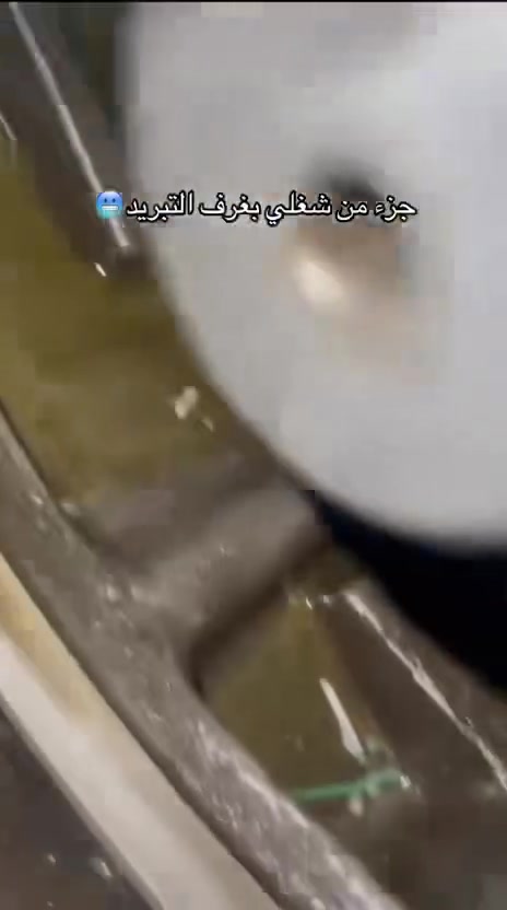 غرف مبردة • مخازن مبردة • بابل
