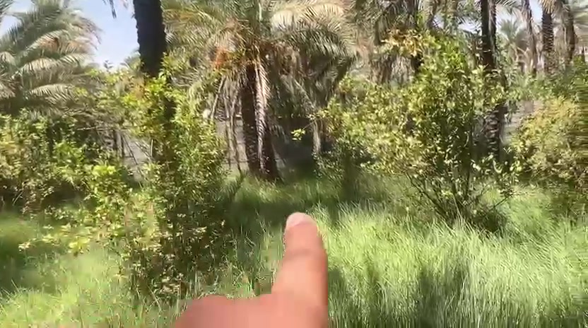 كربلاء الحسينيه • ٣ دونم • طابو زراعي