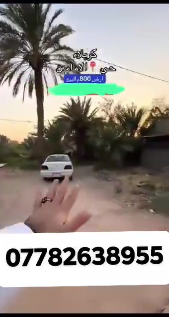 ٨٠٠م • طابو زراعي • كربلاء حي الامامين