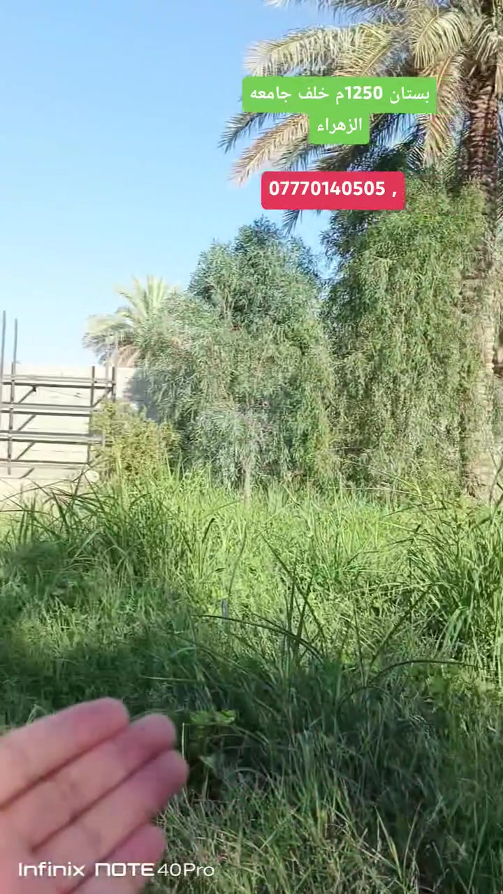 بستان 1250م خلف جامعه الزهراء او مطبخ العتبه 
وجه 23م باقي نزال 
***********
