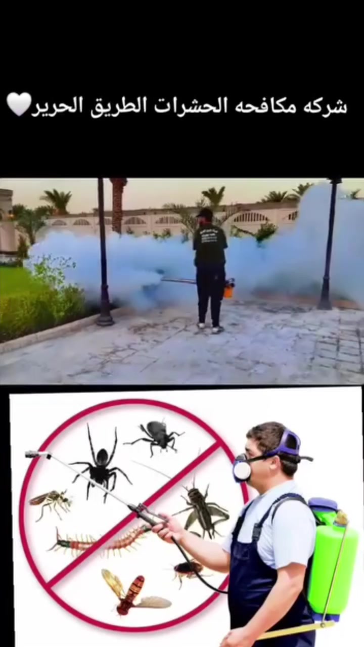 مكافحة حشرات • كافة المحافظات • بيوت مطاعم مزارع