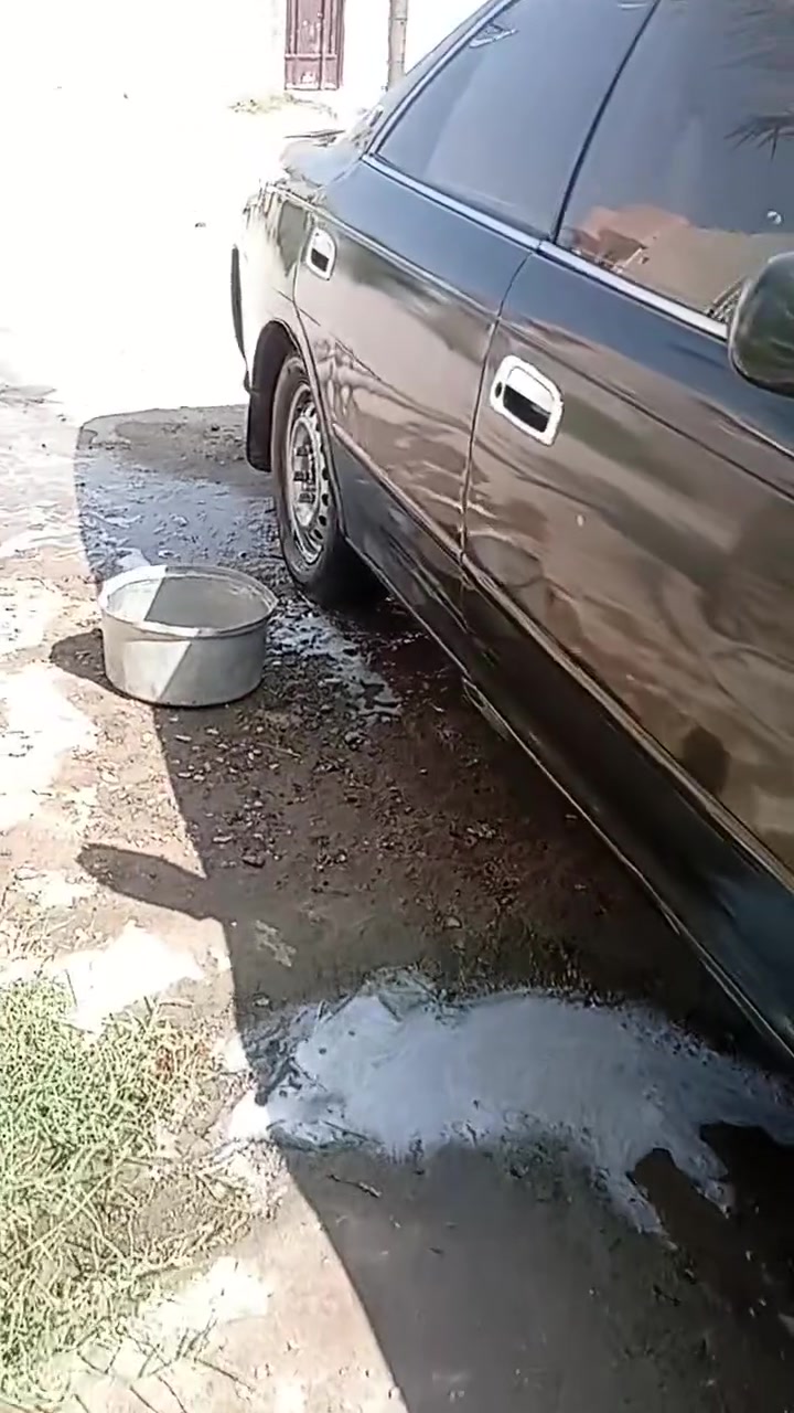 كفالة عامة • صبغ • نجف الاشرف