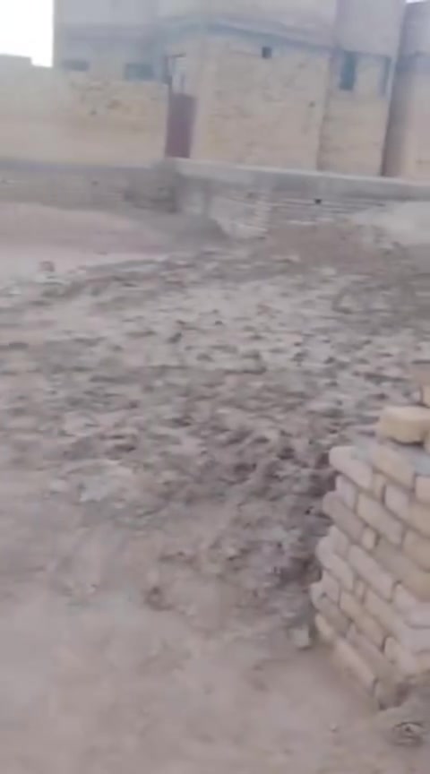 قطعة للبيع البوريشه شارع الشخاط بجهة شارع العام مساحته 448 بيه اساس وبتلو مدفونة ثاني قطعة عن الشارع العام
للاستفسار: ***********
