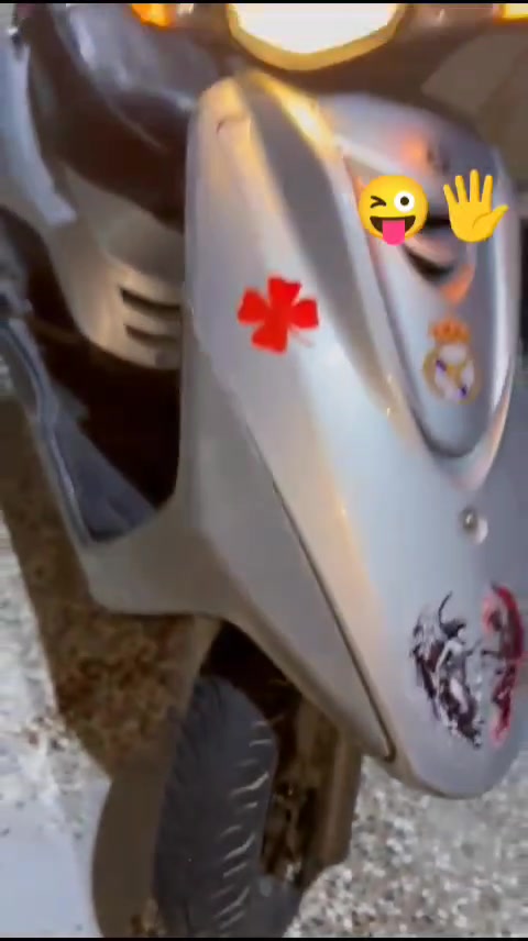 بريز بغبغاء  قفل 600