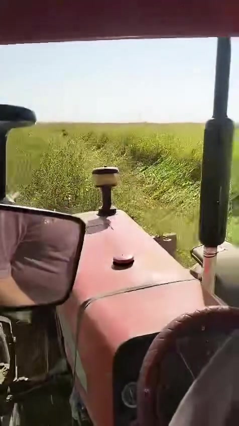 حاصوده سمسم إماميه للبيع مشتغله قليل 
مكان قرتبه ***********
