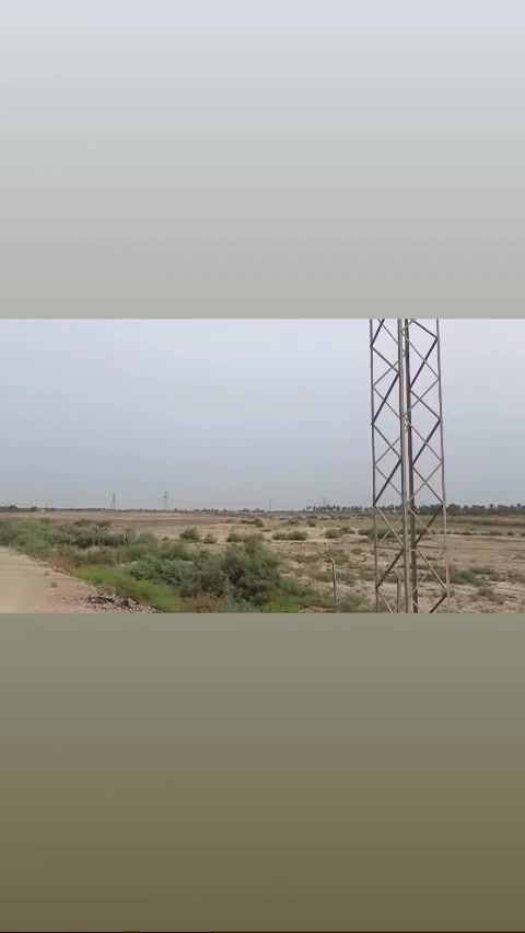 ١٠٩ دونم • طابو زراعي • شارع حله نجف