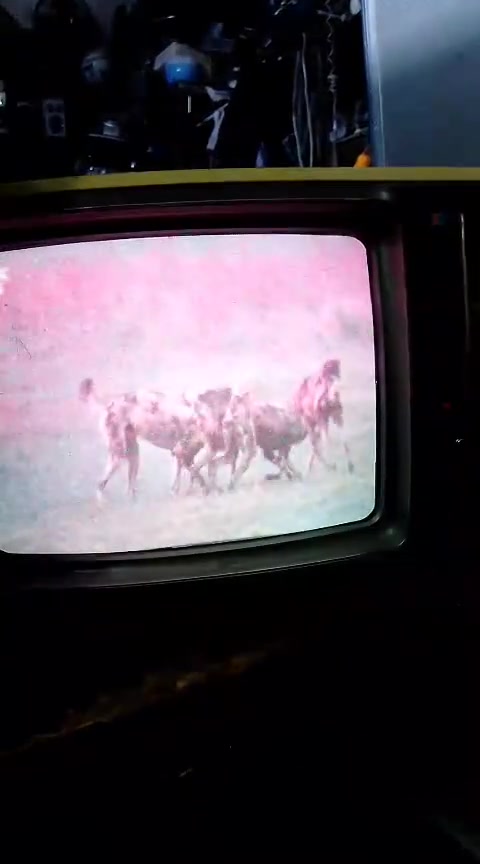 تلفزيون توشيبا ملون للبيع شغال ***********
