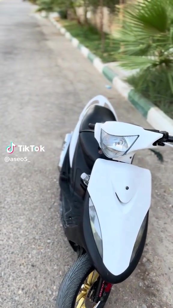 ماكس عدله • اوراق نضيفه • كفاله عامه
