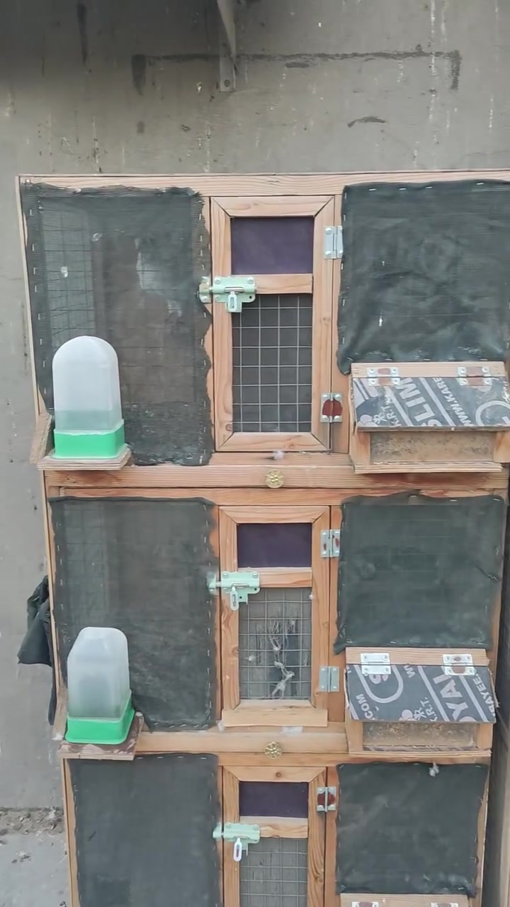السلام عليكم خانات استخدام موسم واحد كلهن ب 200 قفلهن شغل مرتب حسب الطلب بغداد الكمالية ***********
