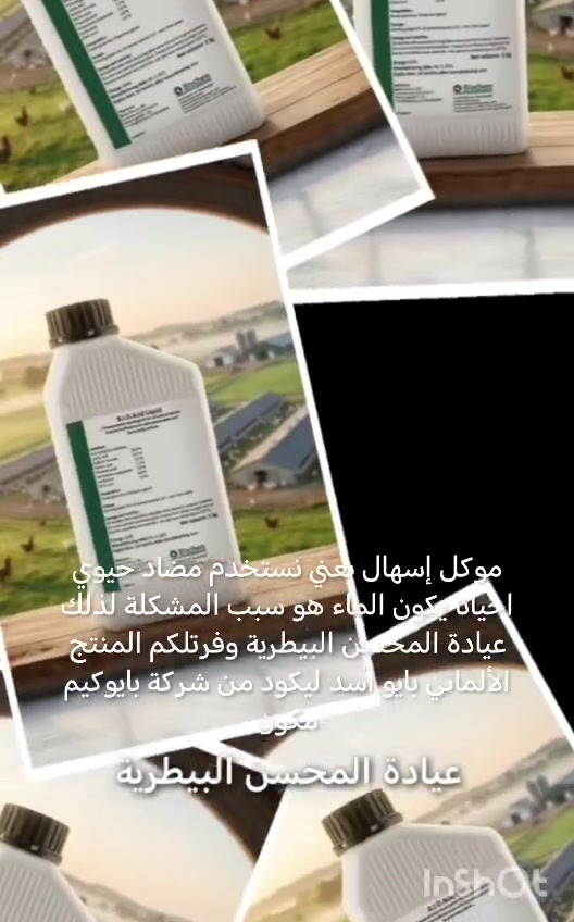 الحلة • الجمجمة الشمالية • قرب جسر بته