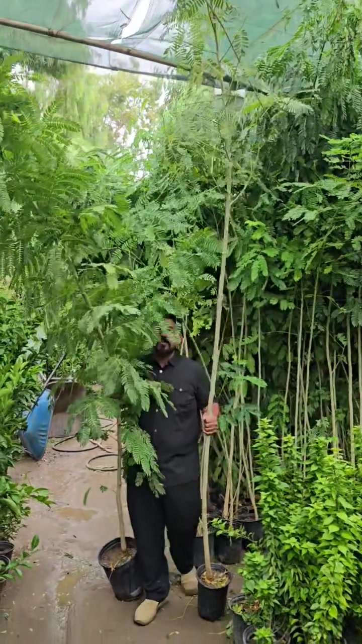 بخاخ عطري • ٣-٤م • كوت حسينيه
