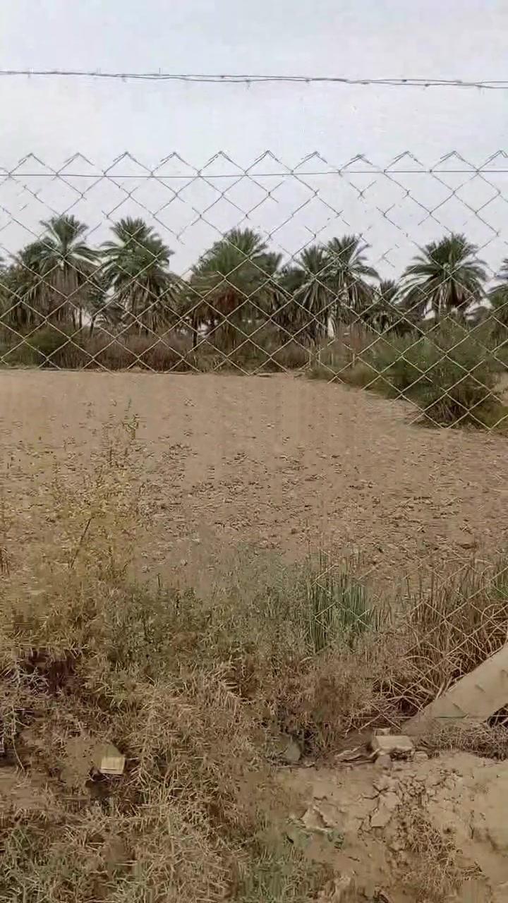 ١٠٠م • طابو زراعي • طريق الزائرين