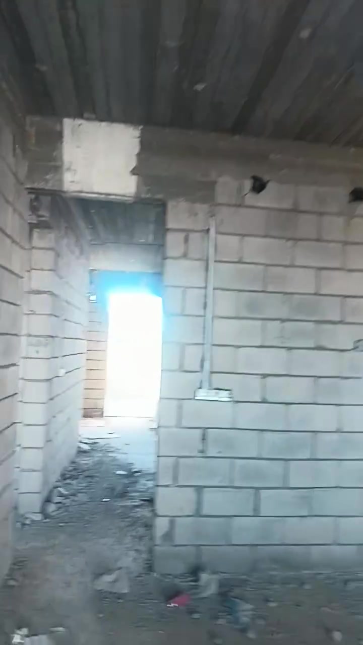 شغل  اليوم في تحرير زراياعي كملنه شبكه دخلي الحب يشوف شغل يشرفنه نشتغله البيته ينتصل يتدالل *********** اسعار مناسبه
