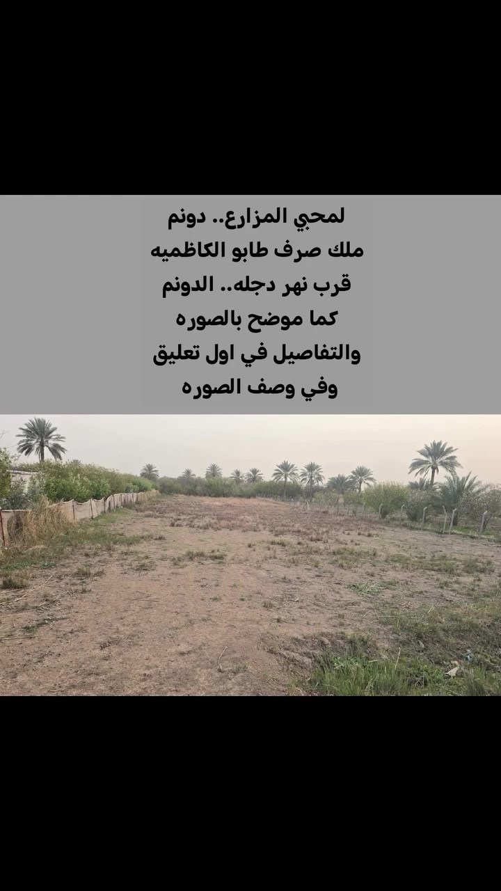 قطعة ارض للبيع بمساحة دونم واحد 
بغداد التاجي قرب معسكر التاجي على الشارع العام في منطقة جرف الملح تبعد عن نهر دجله حوالي 1 كيلو متر و تبعد عن مدينة الكاظمية 10 دقائق  متوفر عليها كافة الخدمات
المساحة  250‪0  
الواجهية 31 
النزال  82
ارض طابو ملك صرف 
 بقربها مزارع 
يمكن زراعتها اي نوع من الفواكه و الخضراوات و يتوفر خط مشروع مياه إروائي . و حصة مياه للري من نهر دجله للسقي الزراعي.
التواصل والاستفسار 
اتصال و واتساب 
***********
