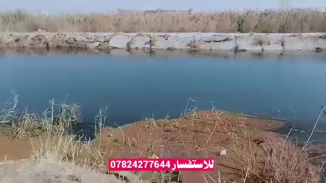 خلف ملعب الناصرية • نهر القائد • أقل الدونمين