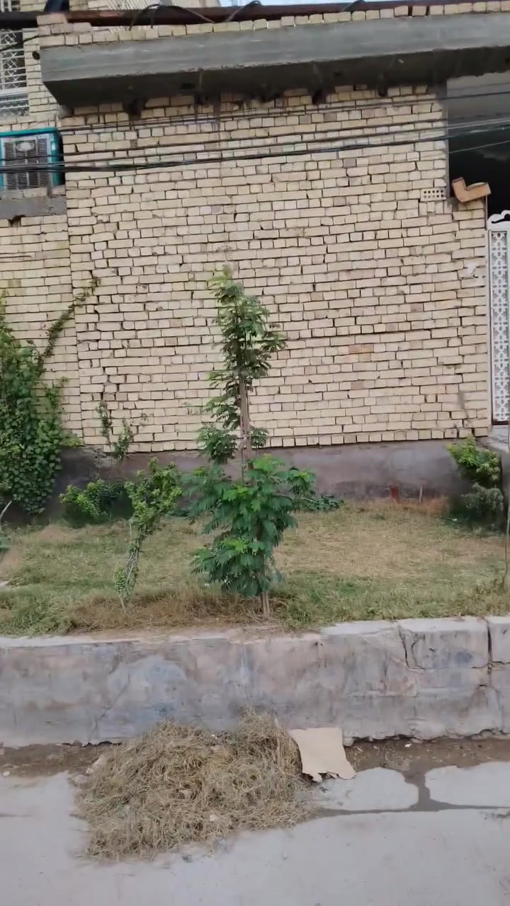 بيت للبيع • ١٠٠م • واجهة ٦ ونص