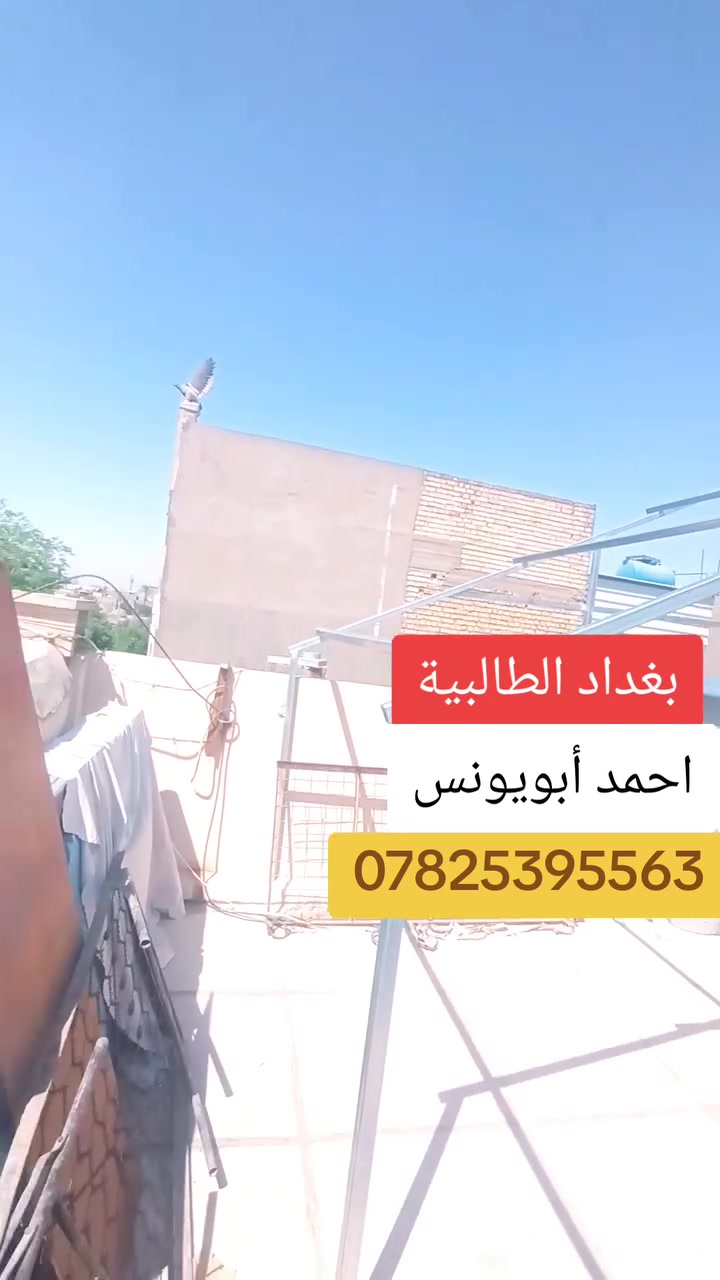كادر متخصص للتنصيب هياكل الطاقة الشمسية***********
أعمالنا ميكانو ولحام كادر متكامل 

أعمالنا جميع المحافظات
 
أحمد أبويونس
