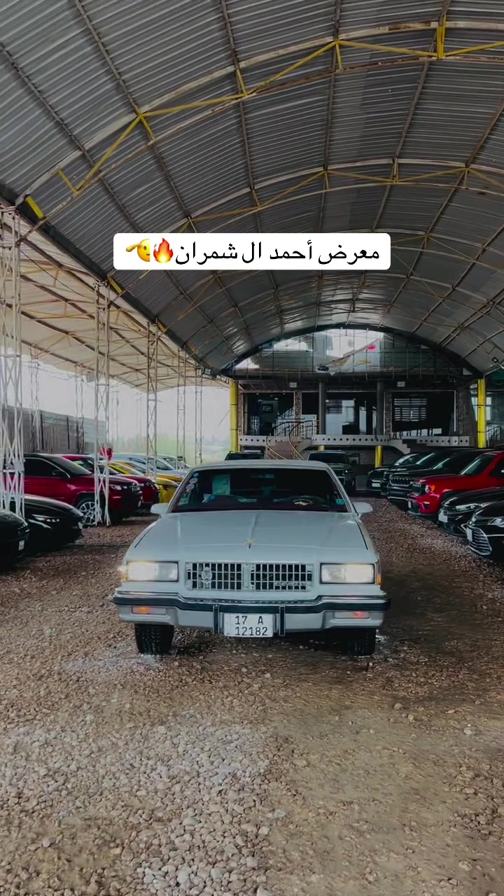 كابرس • مديل ١٩٨٧ • السماوة