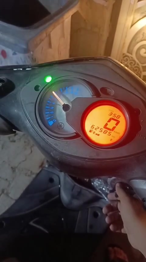سكنس فحل • نضيفة • مامفتوح