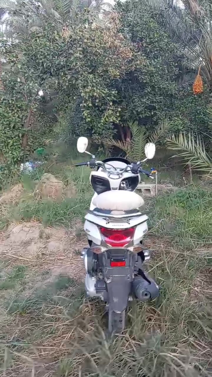 PCX 150 • ياباني اصلي • 2012-2013