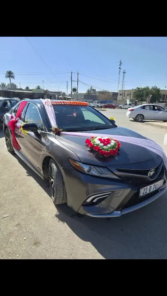 يوجد لدينا التزيين سيارات اعراس عنوان طوز مقابيل قام قاميه طوز  مكتب زوراء بداره امير ابو ادم ***********
