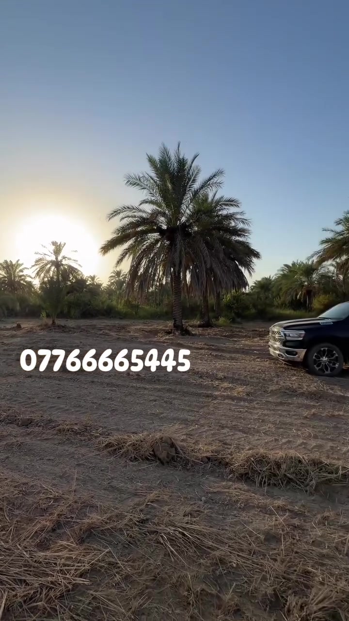 بغداد المدائن • ارض تقطيع • شارع ٦م