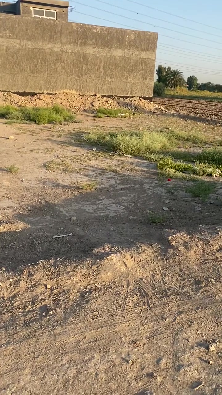 من ترخصت الادمن السلام عليكم قطع للبيع مساحة 250 مرت بابو زراعي واجهيه 10 ونزال 25  على طريق شريفة بنت الحسن ***********وهذا رقم اخوي اني مامتواجد ***********

