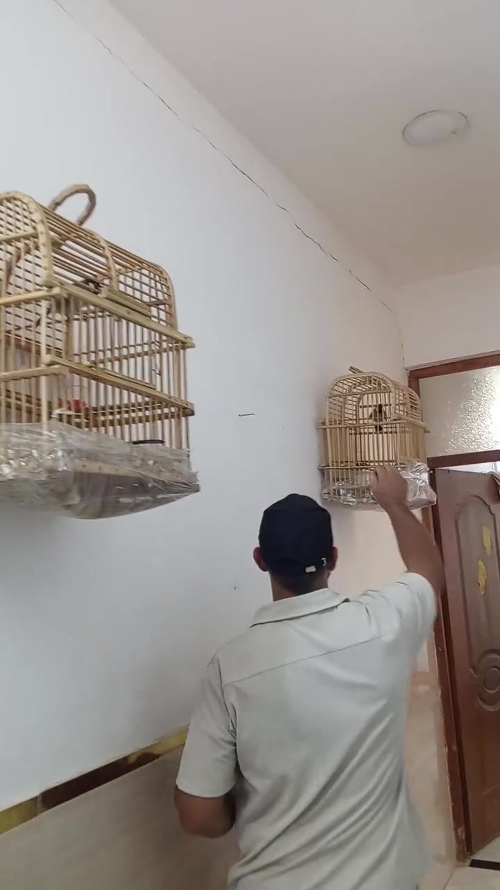 بايسكل • مجال البلابل