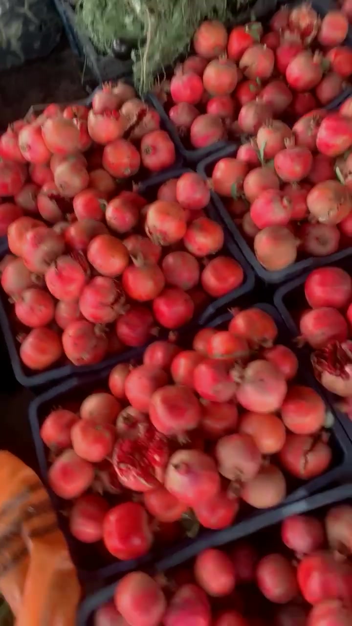 رخصة الادمن