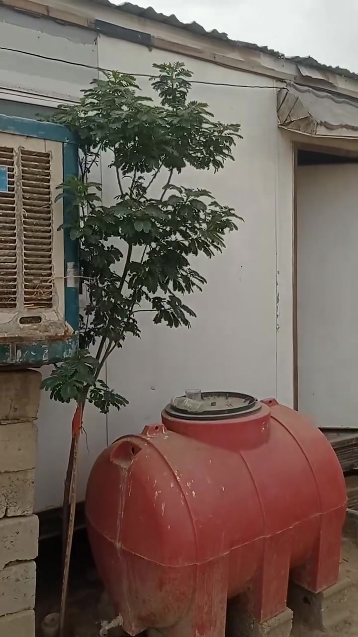 كرفان • ٨م • غرفتين