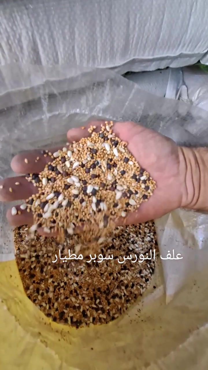 علف النورس • سوبر مطيار • الماجديه