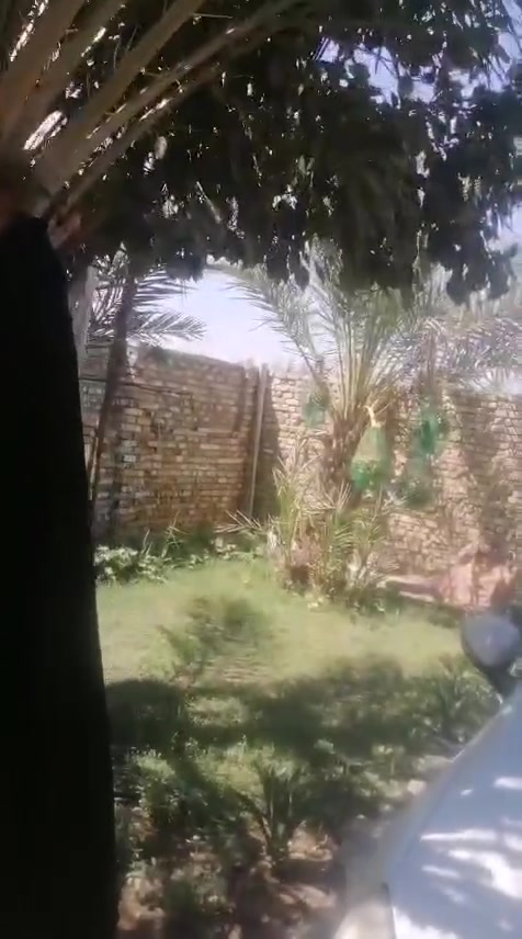 يالله .. دار سكن طابو سند ٢٥ تدخل شريك بالطابو حي متكامل وشورع مرتبه وخدمات من ماء اساله وكهرباء وطني وخط مولد ومجاري يبعدعن شارع سومر دغاره مسافه ١٥٠م موقعه حي غازي اول نزله مساحه البيت ٢٦٠م  بناء .. غرفتين وصاله ومطبخ وستقبال ومجمع صحيات داخليه وخارجيه .. حديقه حلوه ومرتبه .. تجعل لك  الراحه النفسيه والكعده الحلوه .. بناء نظيف وجديد. 

سعر البيت (٣٧) وبيه مجال  
التواصل والاتصال على الرقم ***********

نص مكتوب في الصور:
- Infinix NOTE