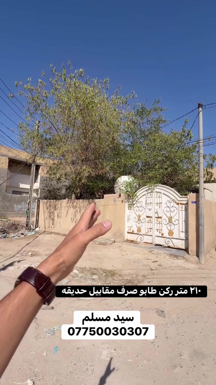 (كربلاء شهداء سيف سعد )
