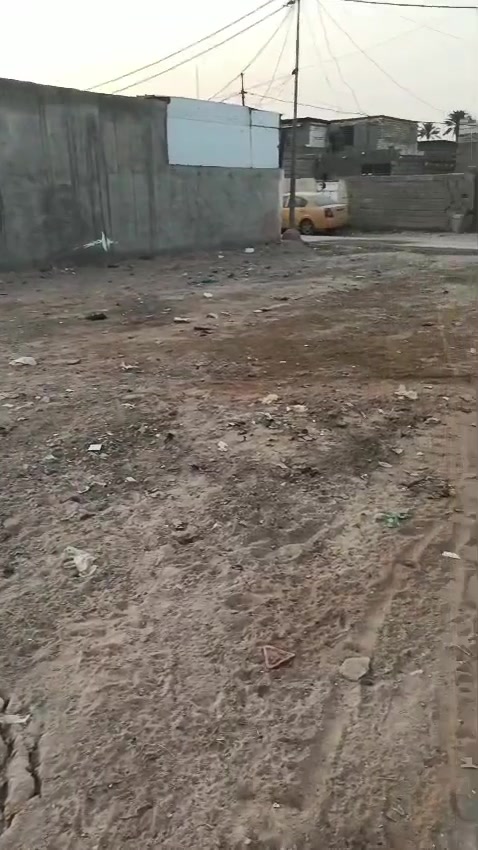 سند ٢٥ • زراعي • كوفه علوت الفحل