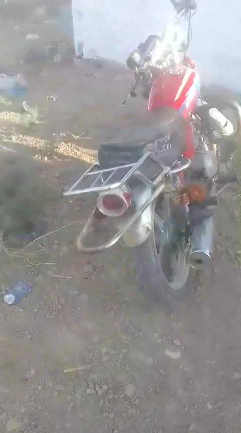 ستوته • وراق كامل • سلف