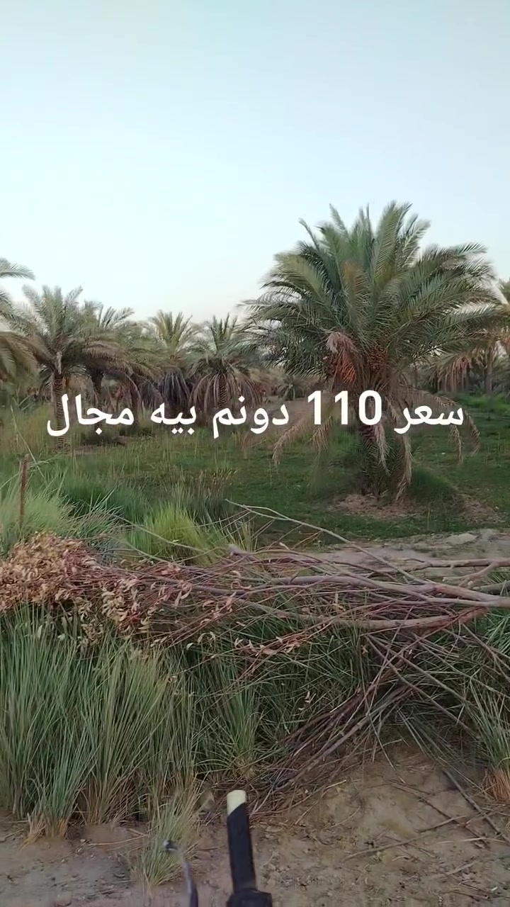 كربلاء الحسينيه • ٤ دونم • واجه ٦٠م