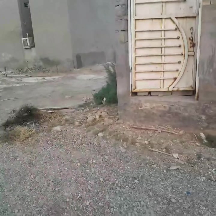 سلام عليكم بيت للبيع سبع قصور شارع لمشروع قرب لمستوصف واجهيه ٧ونص نزال ٩   _٩٠ متر طابق واحد لفديو واظح استفسار اتصل أو خاص سعر ٤٢ وبي مجال ***********@@
