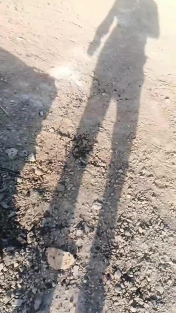 ***********
