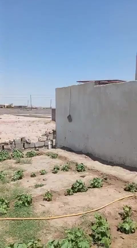 سلام عليكم قطعه للبيع خلف الحسينيات ماء كهرباء شارع تبليط خدمات كامله تصلح حسينيه و بيت عمود 800 طريق كربلاء نجف  ***********
