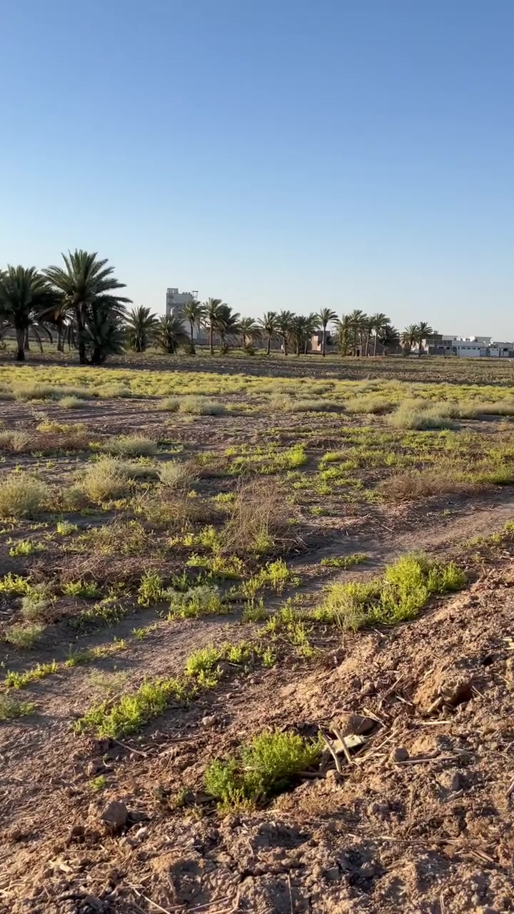 📢 يعلن مكتب المرتضى للعقار عن توفر دونمين للبيع في الرمادي – منطقة البوذياب، بالقرب من الطاحونة.
✅ نوع العقار: طابو زراعي – سند 25
✅
✅ واجهة على شارع بعرض 15 متر
✅ جميع الخدمات متوفرة: ماء وكهرباء
✅ سعر الدونم الواحد: 95 مليون دينار عراقي قابل للتفاوض.
📍 فرصة مميزة للاستثمار أو السكن في موقع حيوي ومخدوم.
للمزيد من التفاصيل والاستفسار، يُرجى زيارة مكتب المرتضى للعقار أو التواصل عبر أرقام المكتب.
***********
***********
ابو كرار الفراجي
