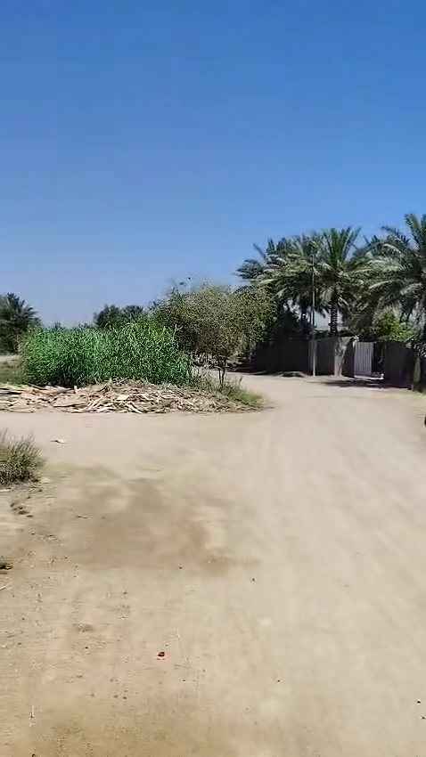 عندي دونم و ٣٠٠متر مع بيت طويريج الحولي كافة الخدمات امسيجة مع طاقة شمسية مع كلشي داخل البيت الرقم ***********
