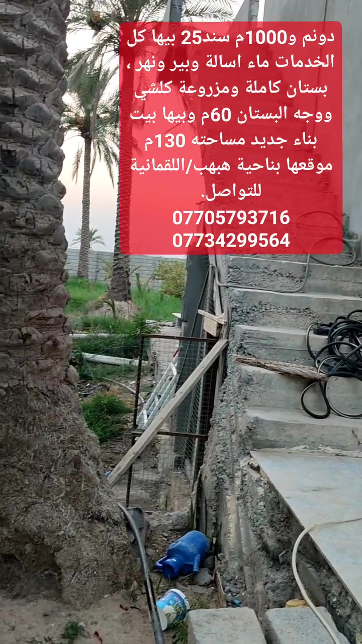 هبهب اللقمانية • ٣٥٠٠م • سند ٢٥