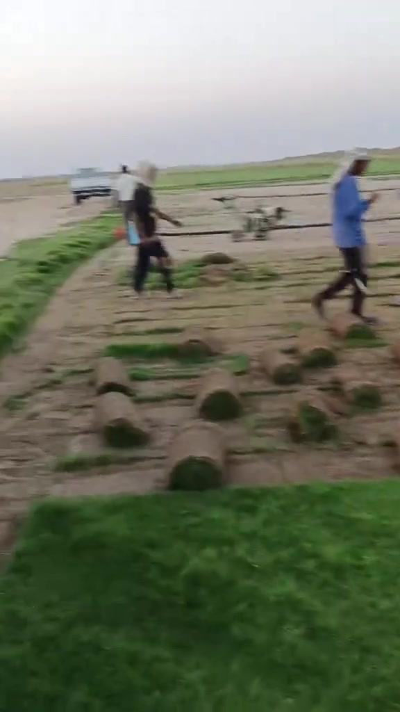 مميزون بما نقدم🍃🌱
🍁يتوفر لدينا كافة انواع الثيل الطبيعي .
🍁التوصيل لكافة المحافظات 
🍁يتوفر لدينا الثيل:
الثيل الهندي - الثيل الامريكي - الثيل الايطالي - الثيل الفرنسي 🔰

🍁(مستعدون لتجهيز الحدائق المنزلية و الملاعب الرياضية و المنتزهات و الدوائر الحكومية بكادر مختص مميز يجيك لباب بيتك 

#بـــأسعار #تنافسية 
🍁لمعرفة سعر المتر المربع التعليق ب "تم" سوف تصلك رسالة 
🍁للحجز والاستفسار عن الاسعار الاتصال بنا على الرقم
 *********** //***********
