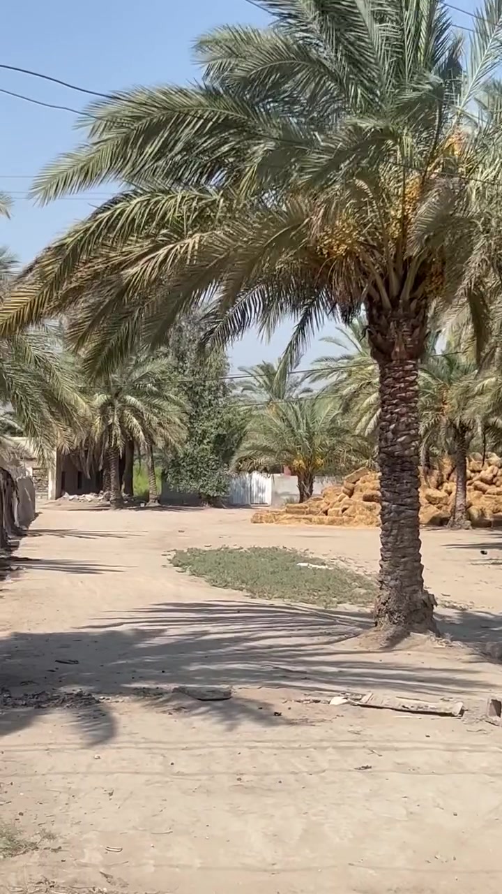 السلام عليكم 
ارض زراعيه للبيع فرع المصلخ.المساحه : 3دونم تبعد عن المشروع 150م تحتوي على بيت وبستان 
لـمعرفة السعر وللاستفسار اتصل هـ:***********
