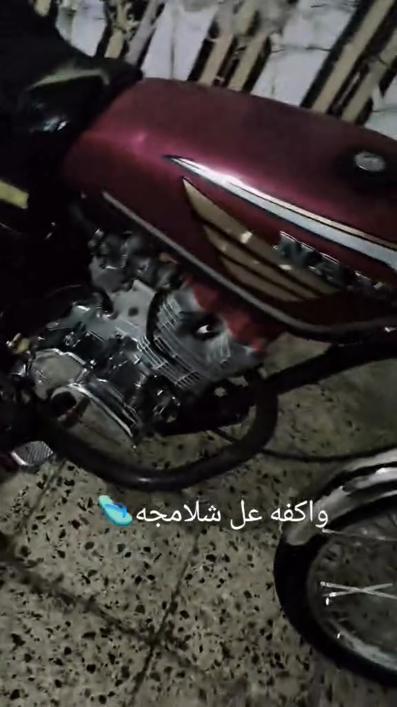 مراوس • بايراني • مكينة ناعمه