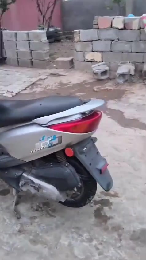 بريز بغبغاء • ١٢٥ • مامفتوح