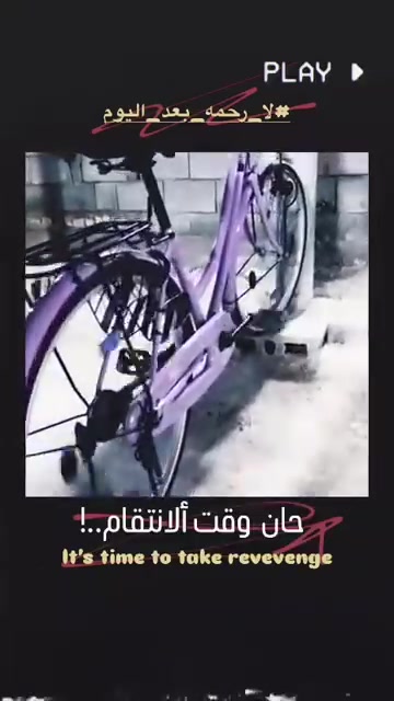 سياحي • حجم ٢٦ • موديل ٢٠٢٢
