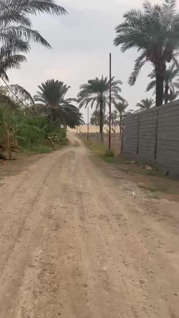 ١٤٠٠م • سند ٢٥ • بغداد المدائن