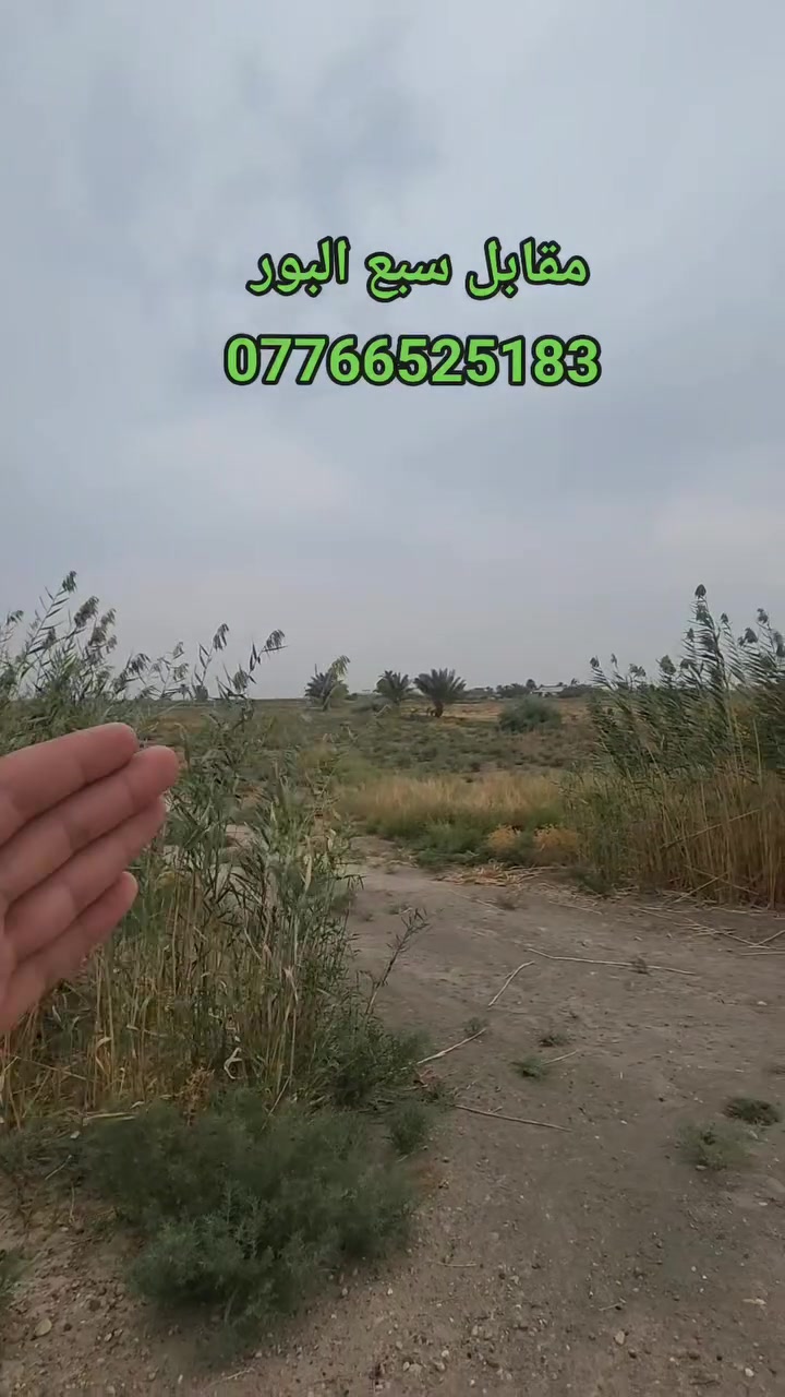 دونم التاجي • ذراع دجلة • خدمات كاملة